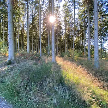 Сasa de vacaciones Le Petit Ours De Coo