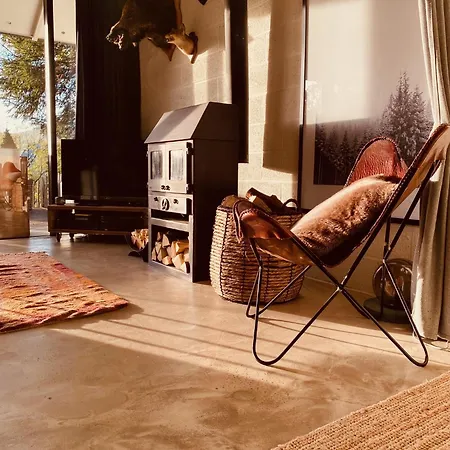 Le Petit Ours De Coo